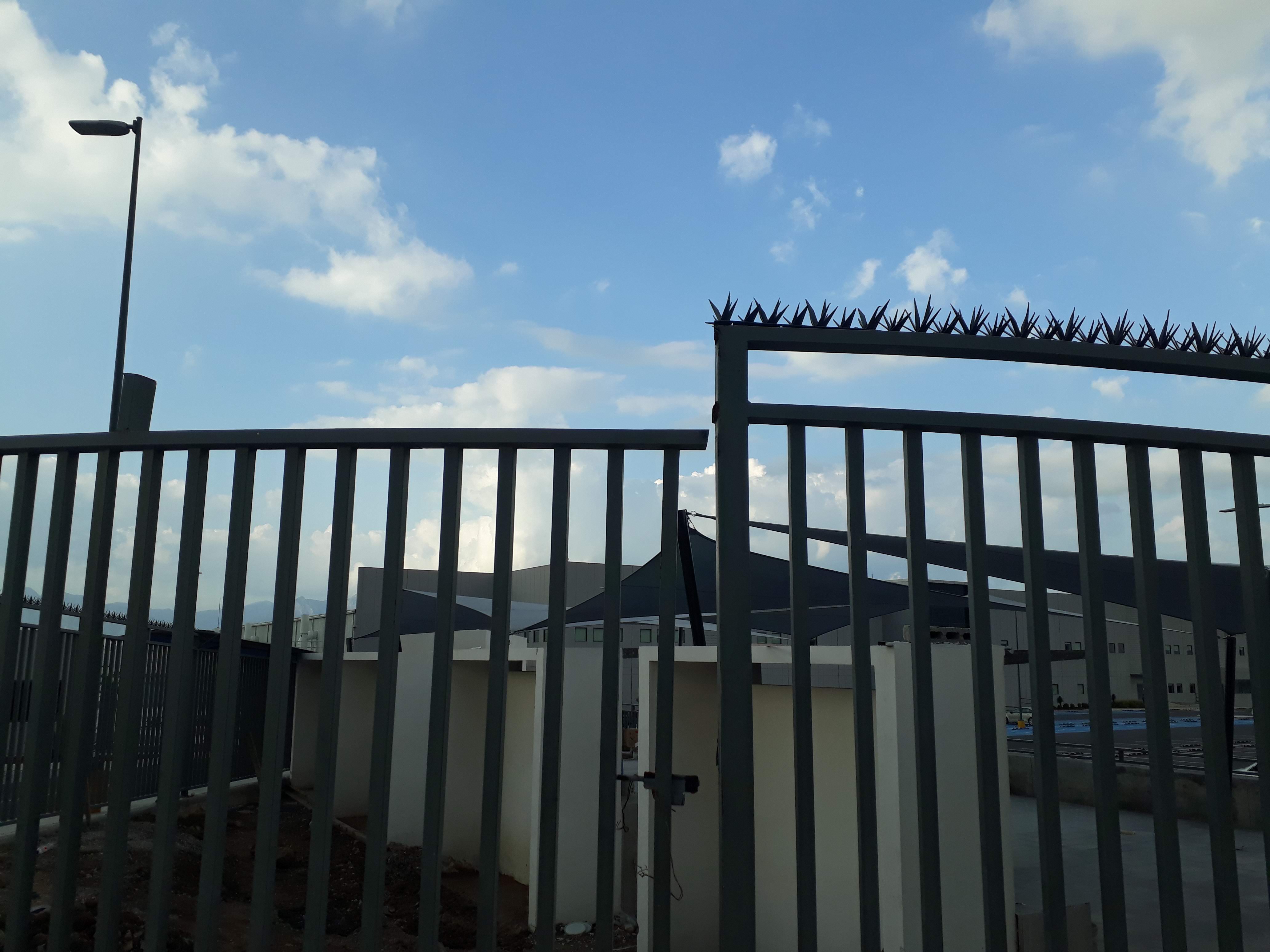 Custom ornamental steel gate with intricate scrollwork